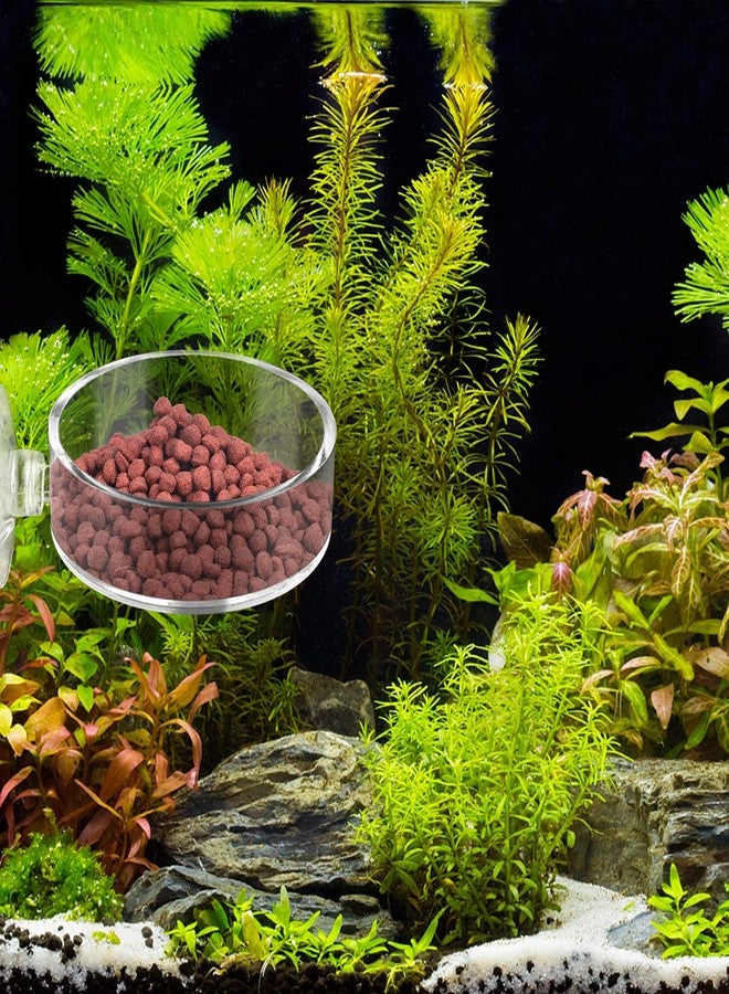 Dannisly Aquarium Shrimp Feeder Dish Round Fish Tank Feeder Bowls Clear Aquarium Feeding Cup with Suction Cup - Image 4